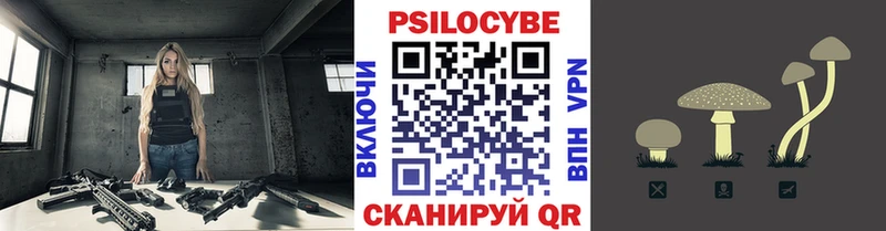 гидра зеркало  Кольчугино  даркнет формула  Галлюциногенные грибы Psilocybine cubensis 